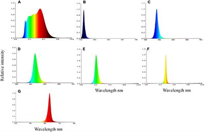 Light Spectrum Impacts on Growth, Molting, and Oxidative Stress Response of the Mud Crab Scylla paramamosain